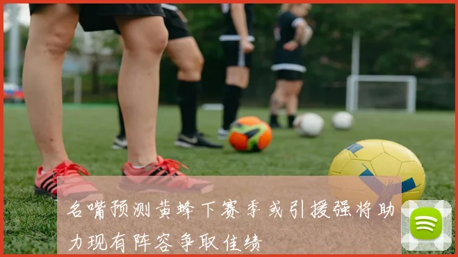 名嘴预测黄蜂下赛季或引援强将助力现有阵容争取佳绩