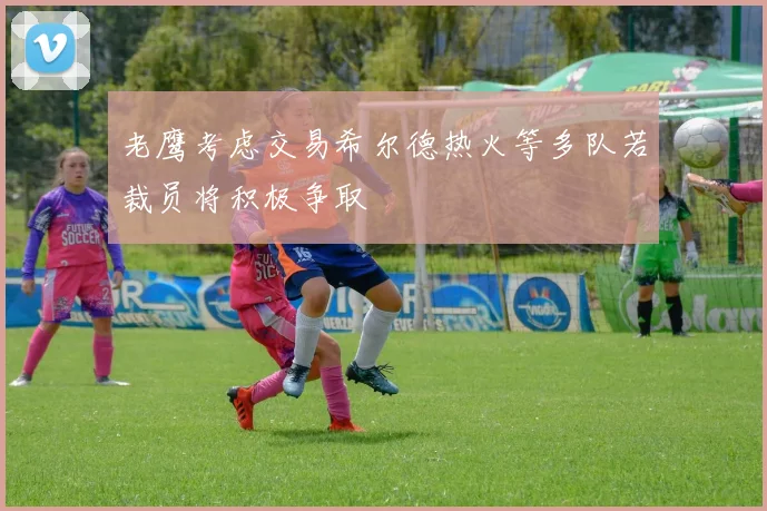 老鹰考虑交易希尔德热火等多队若裁员将积极争取